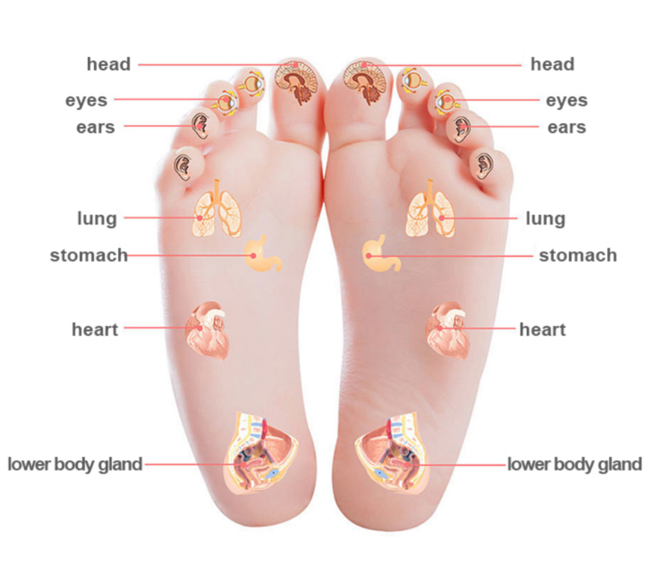 Foot acupuncture points